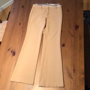 NWT Ann Taylor Devin Fit-Madison Flare